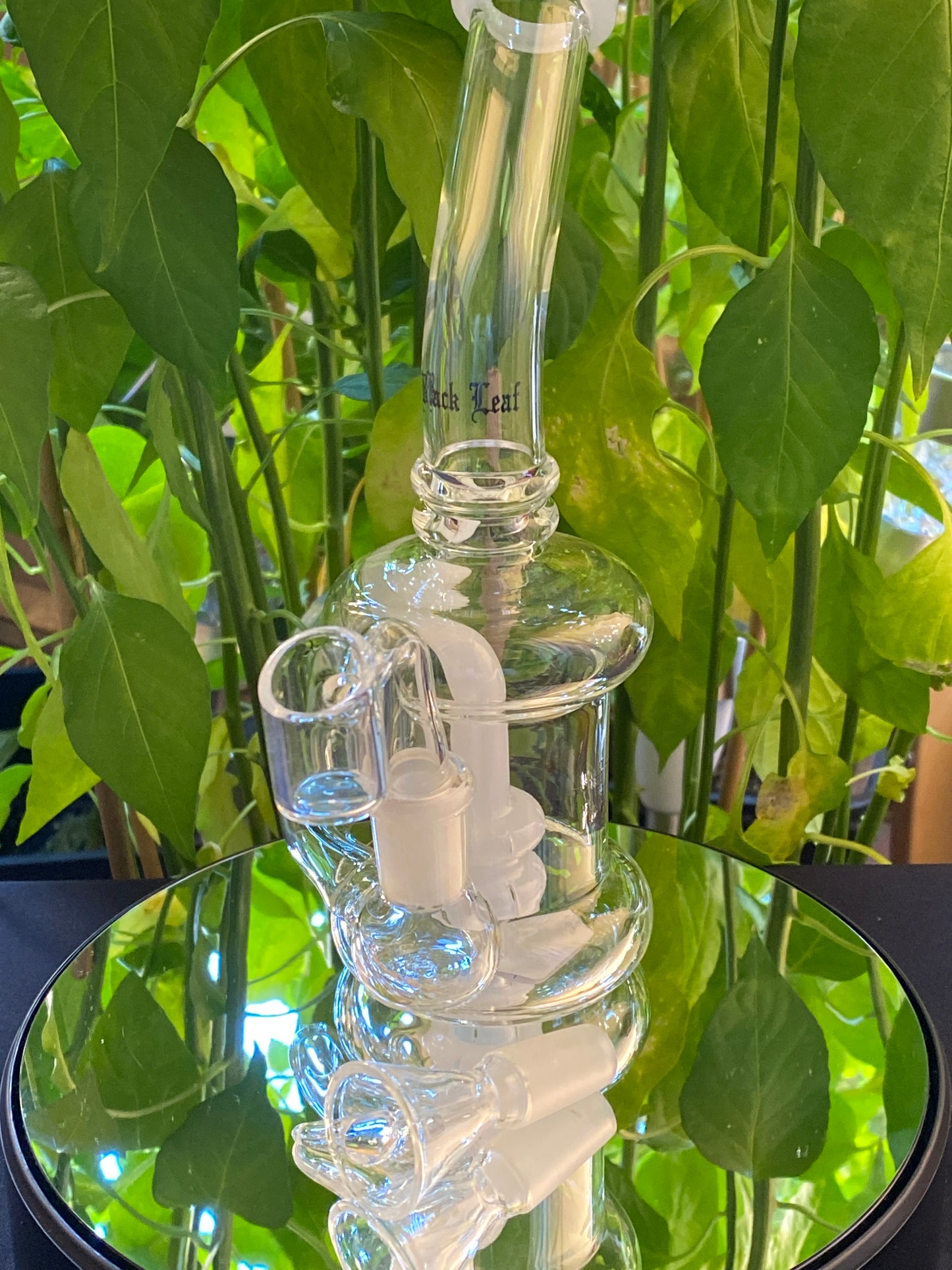 Black Leaf Perkolatorbong Kräuter + Öl Weiss