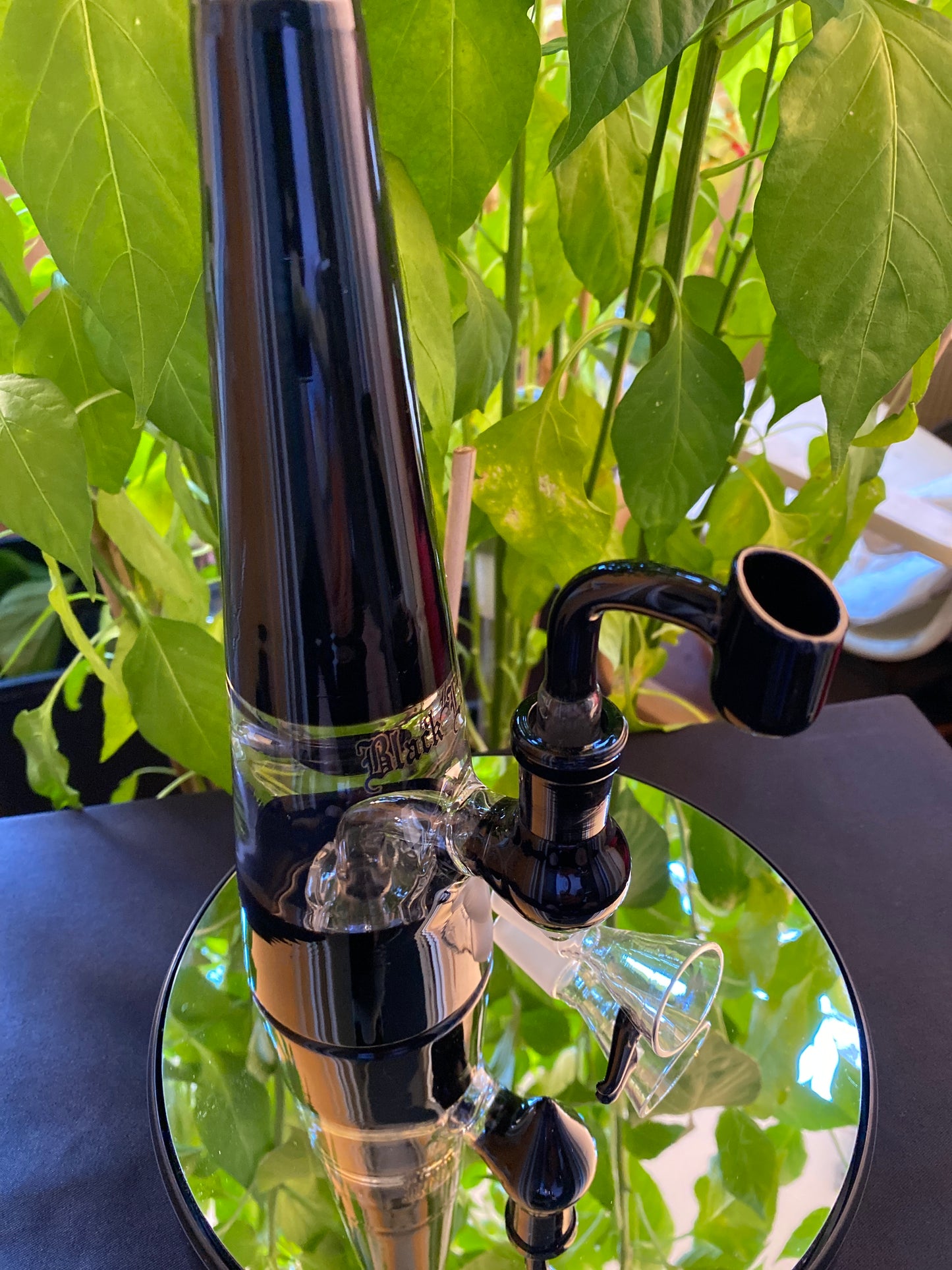 Black Leaf Glasbong Trommelperko Öl Kräuter