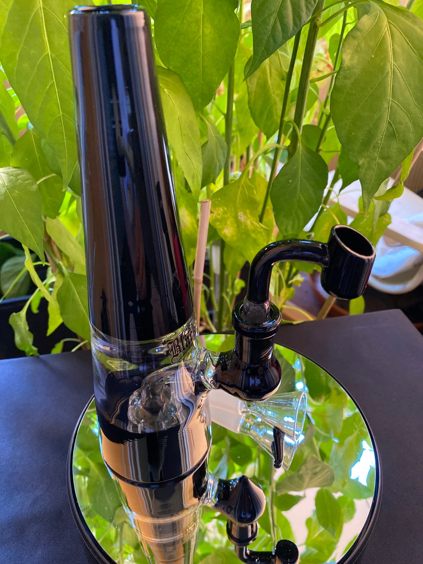 Black Leaf Glasbong Trommelperko Öl Kräuter