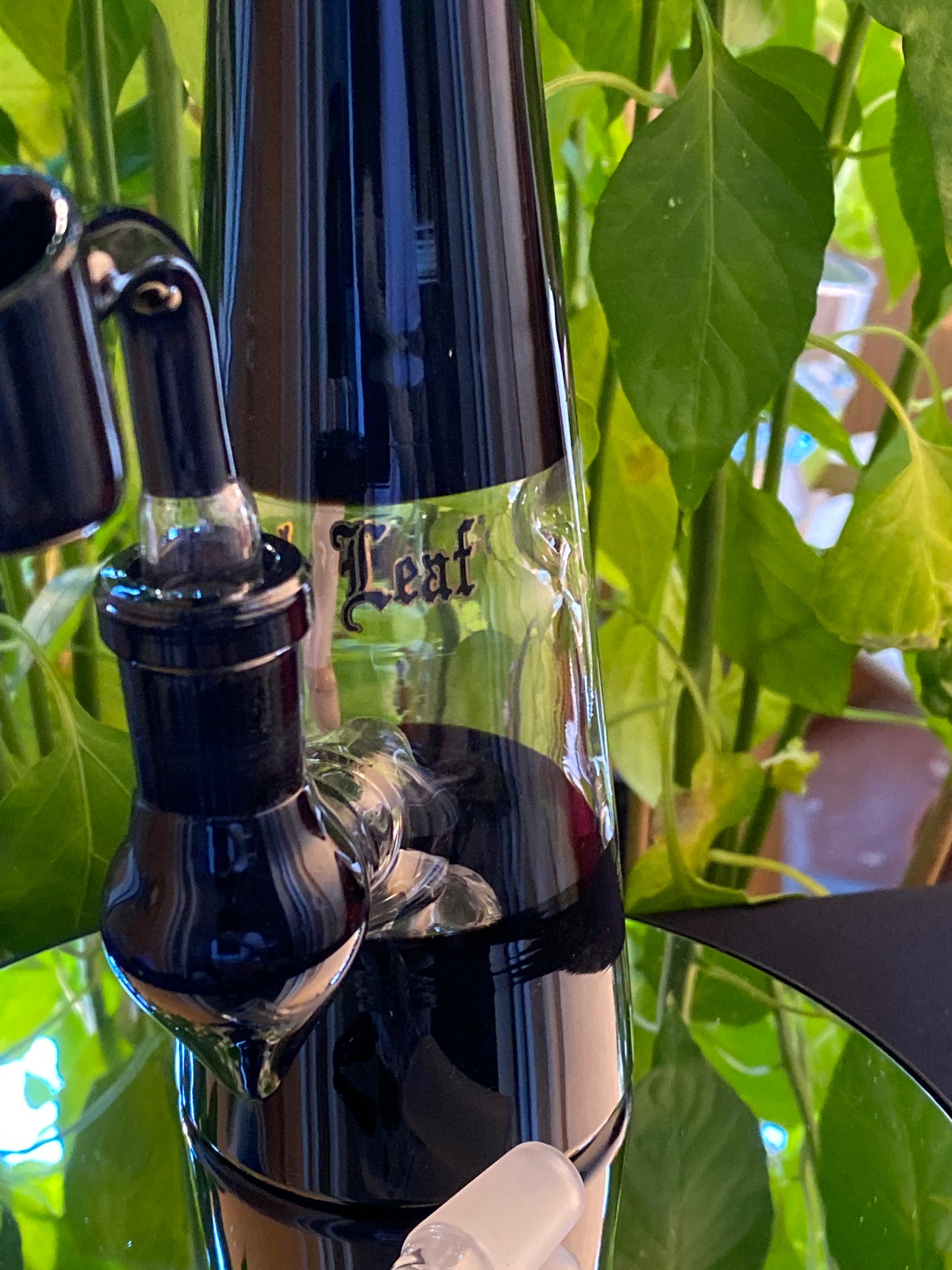 Black Leaf Glasbong Trommelperko Öl Kräuter