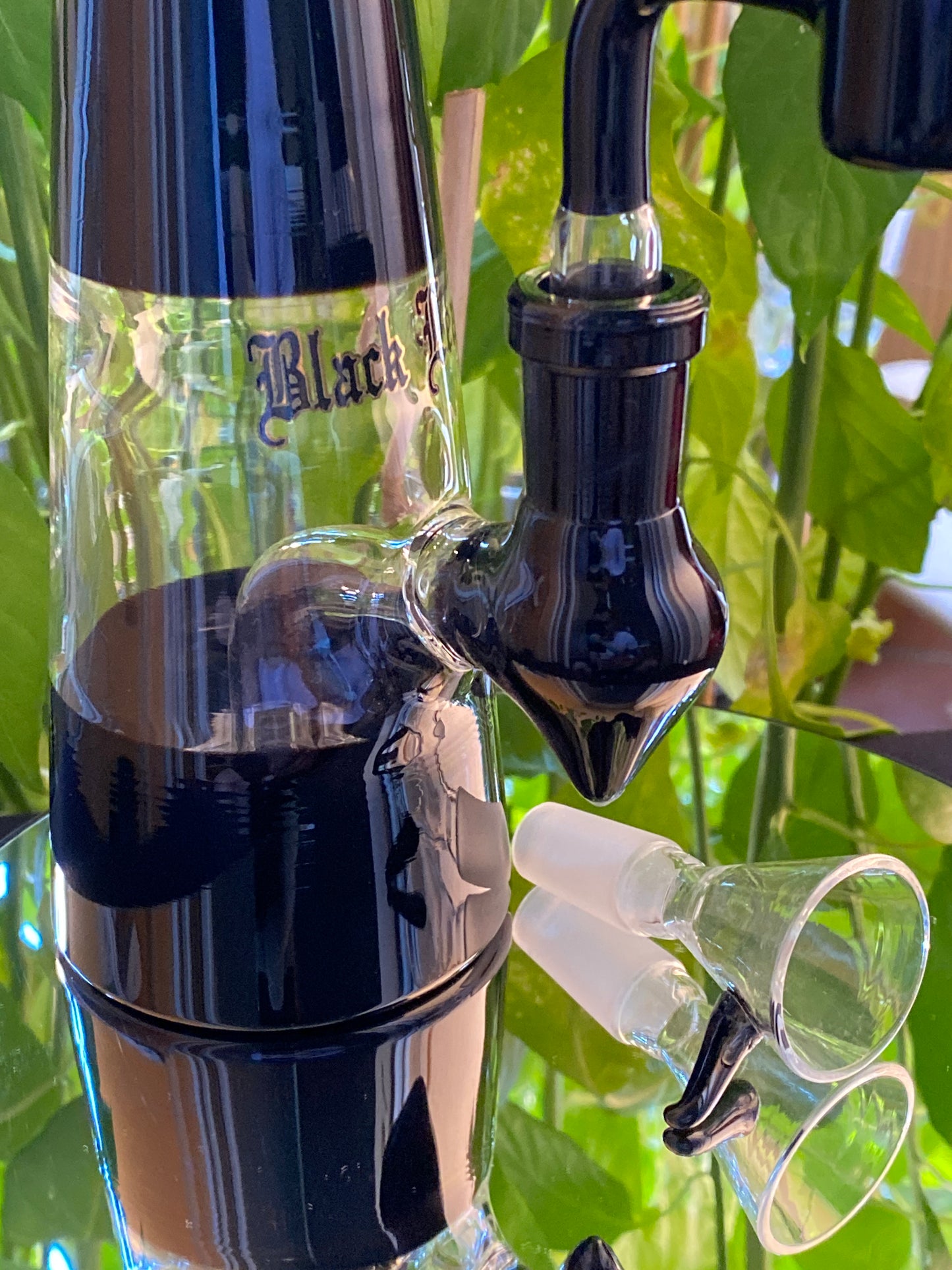 Black Leaf Glasbong Trommelperko Öl Kräuter